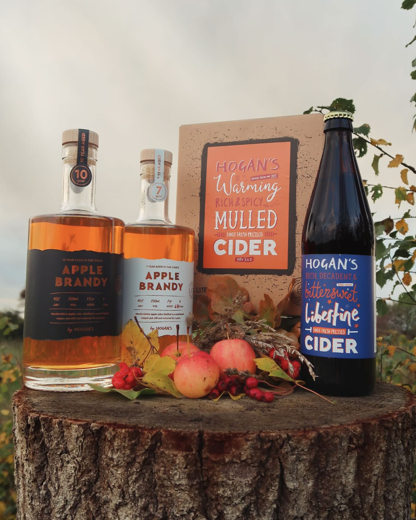 Bottles of Apple Brandy and Hogan's cider on a wooden stump with autumn leaves and apples.