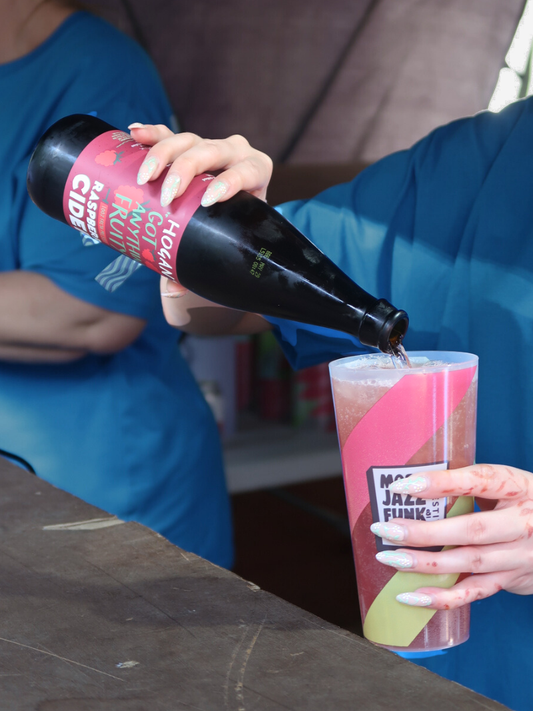 Hogan's Got Anything Fruity? Sparkling Raspberry Cider, 12 x 500ml bottles