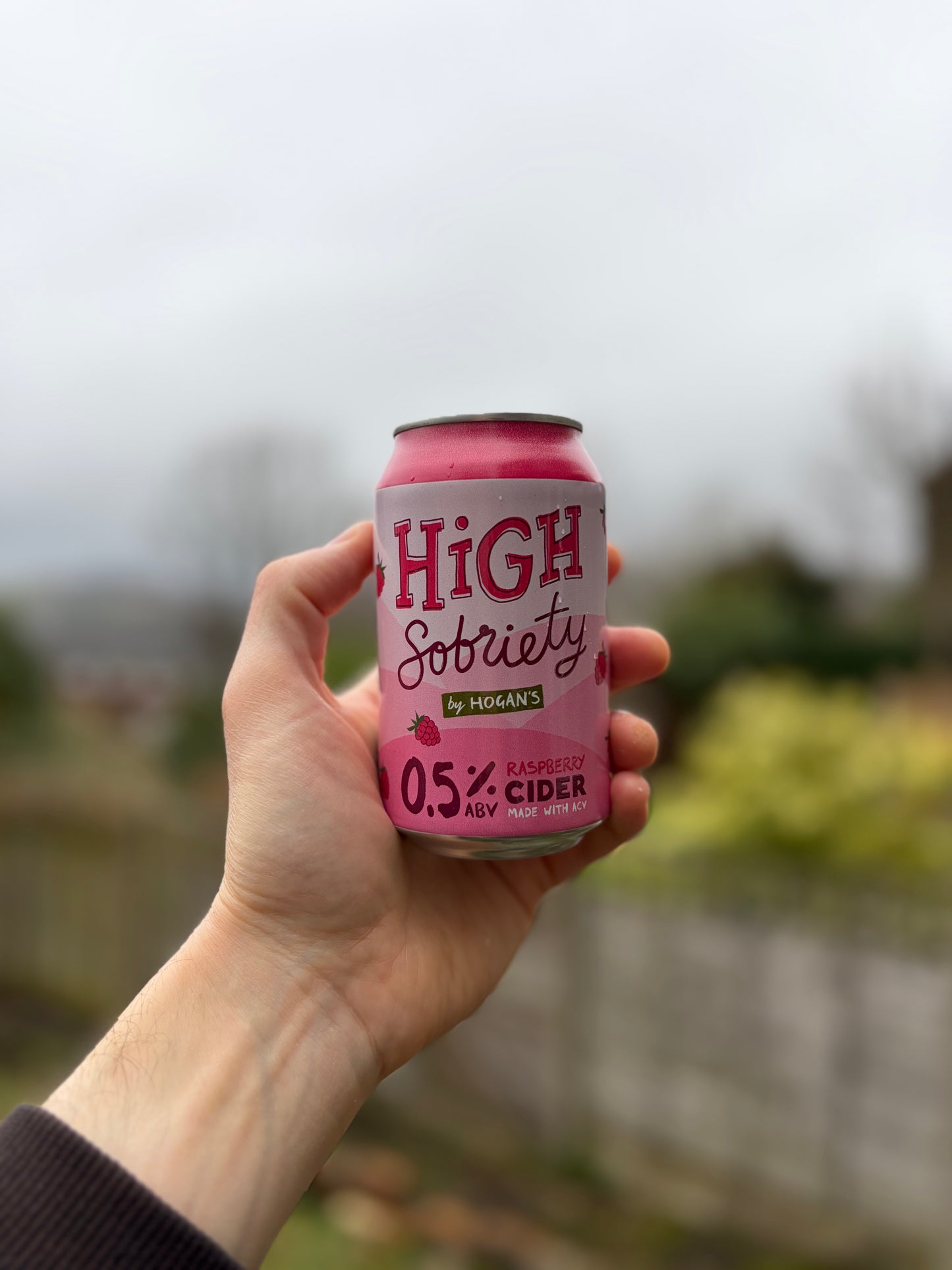 High Sobriety Sparkling Ciders Mixed Case 0.5% ABV - 6 cans