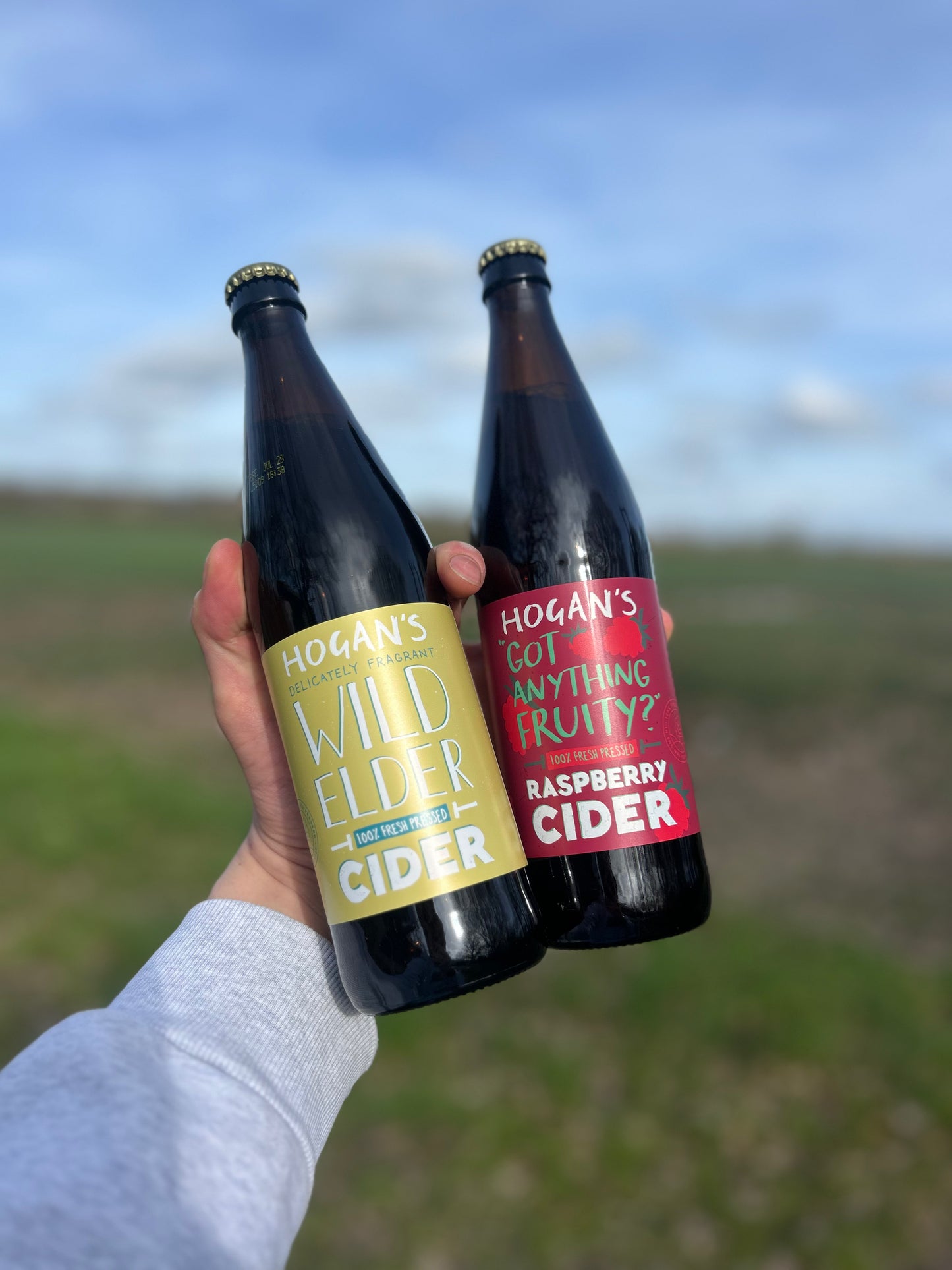 Hogan’s Easy Drinker Mixed Case – 12 Bottles