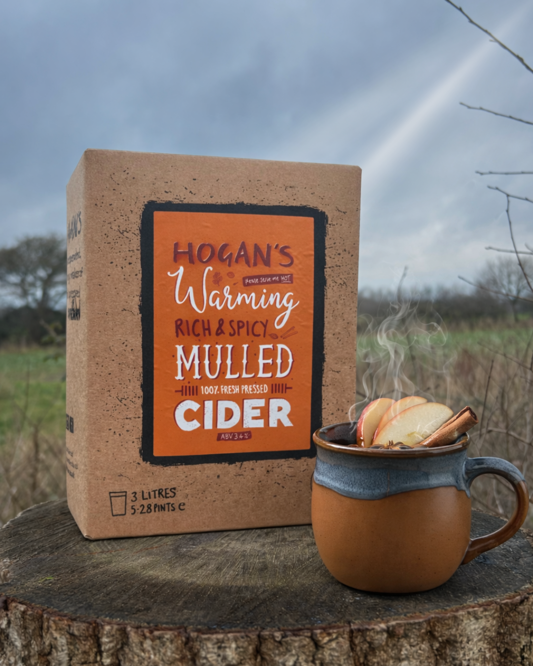 Hogan's Mulled Cider