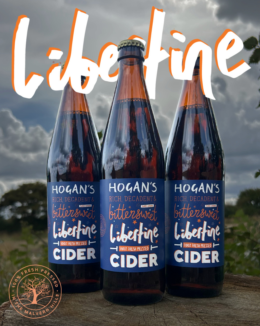 Hogan's Libertine Sparkling Cider, 12 x 500ml bottles