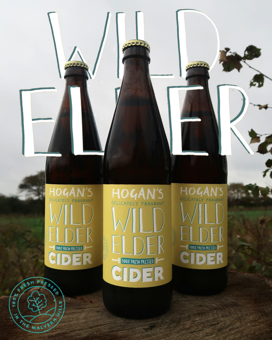 Hogan's Wild Elder Sparkling Elderflower Cider, 12 x 500ml bottles