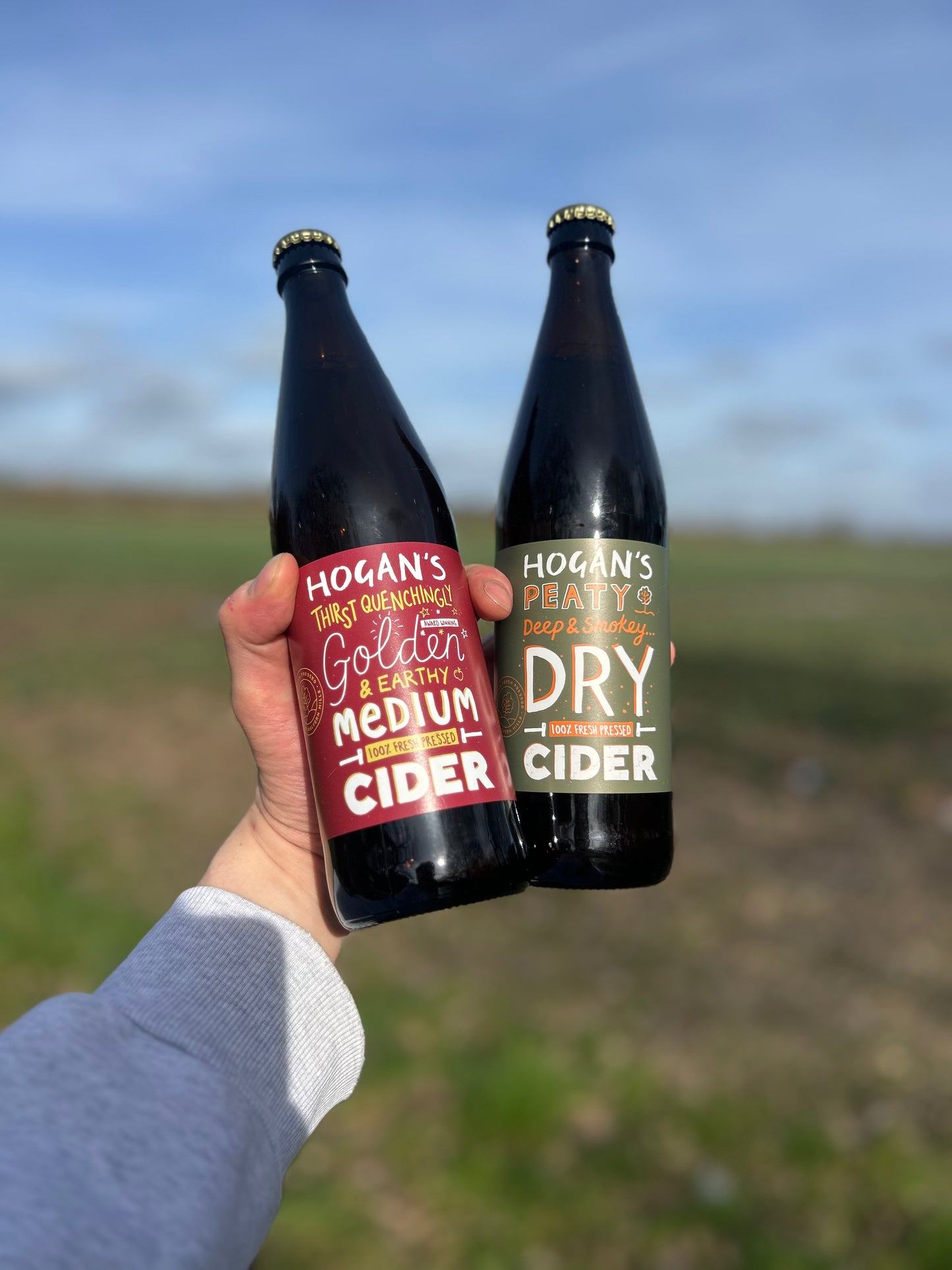 Hogan’s Bold & Complex Mixed Case – 12 Bottles