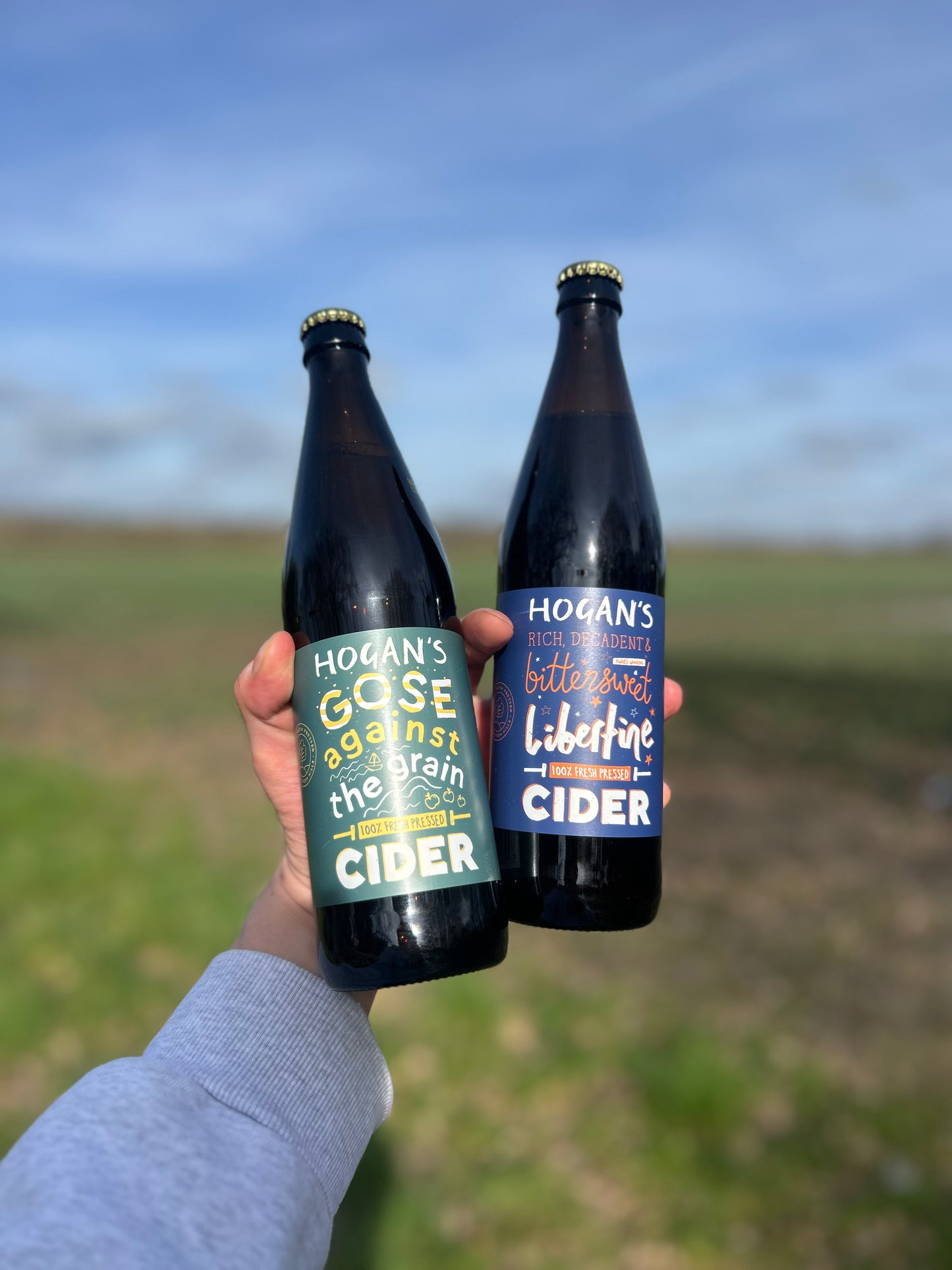 Hogan’s Bold & Complex Mixed Case – 12 Bottles