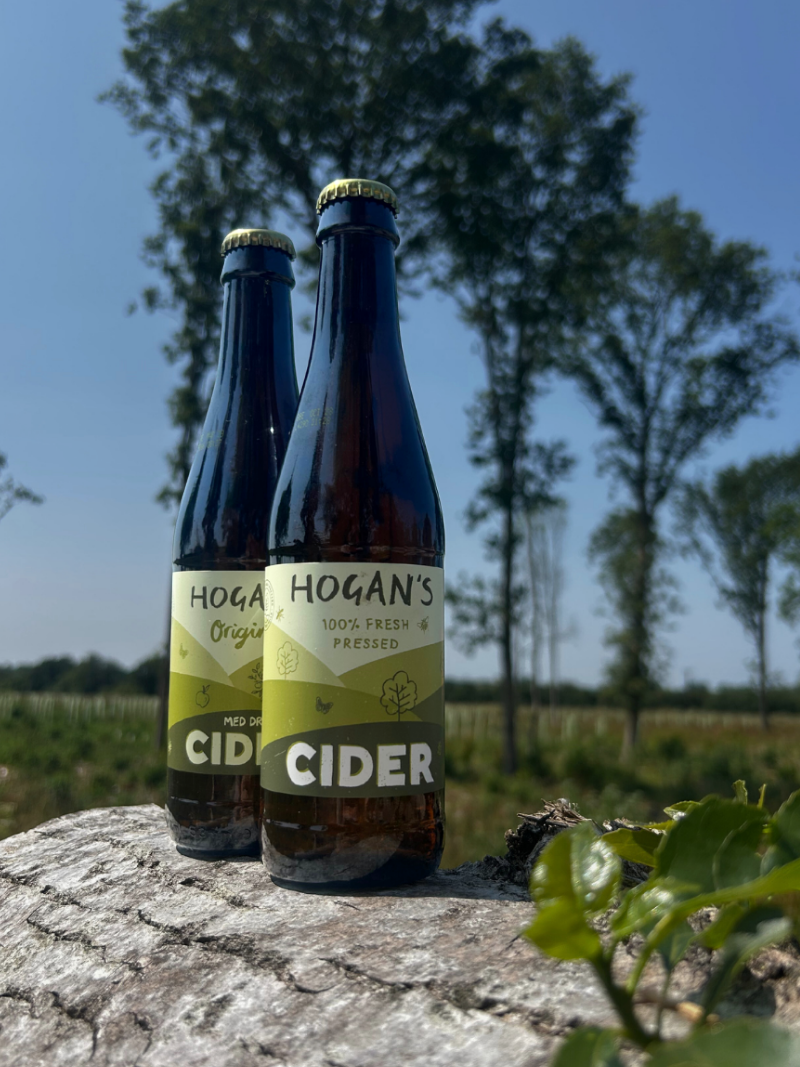 Hogan's Original Draught Sparkling Cider, 12 x 330ml bottles